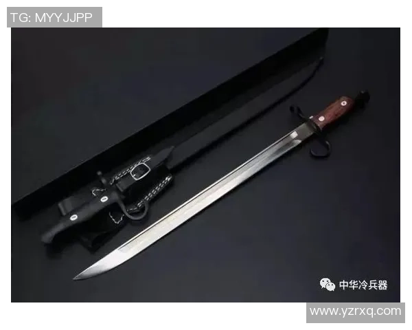 足球场上的黑色传奇他是长得最黑的足球明星与众不同的魅力与实力并存